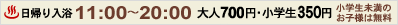 日帰り入浴　11時から20時　大人600円　小学生300円　小学生未満のお子様は無料